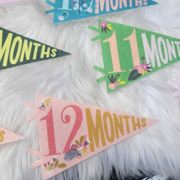 2/$20 Little Artist Milestone Pennants - Picture 10 of 15